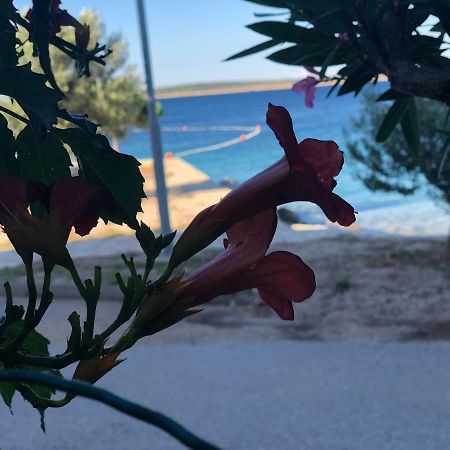 Croatia Mandreアパートメント エクステリア 写真