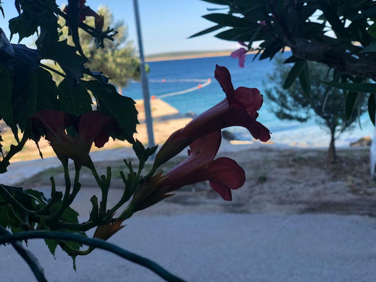 Croatia Mandreアパートメント エクステリア 写真